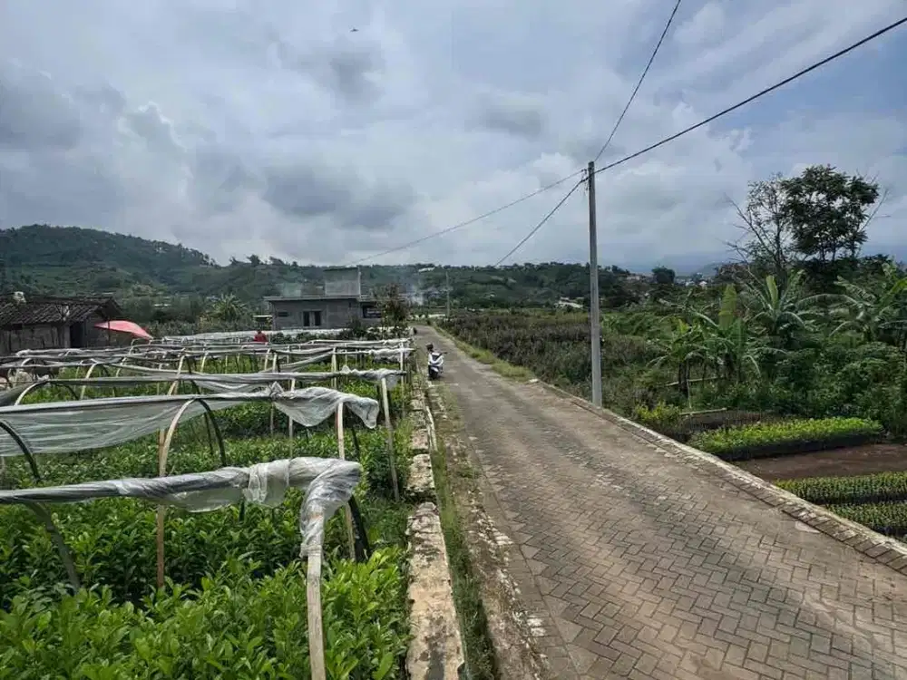 TANAH MURAH KOTA BATU LUAS 173