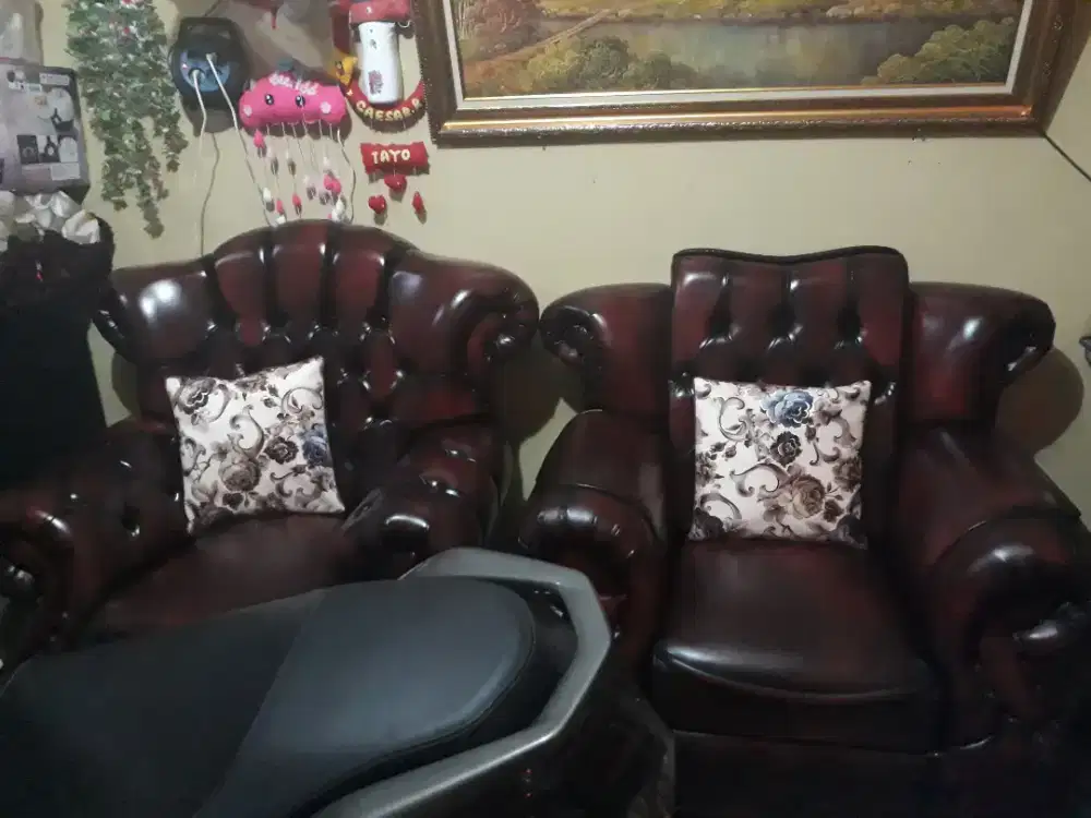 Sofa jaguar minus pemakaian aja mahar 2 nego bensin