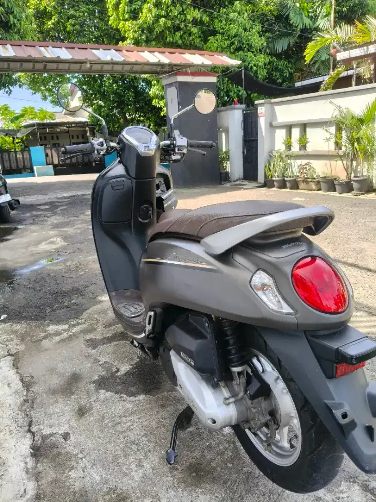 Honda scoopy 2022 istimewa