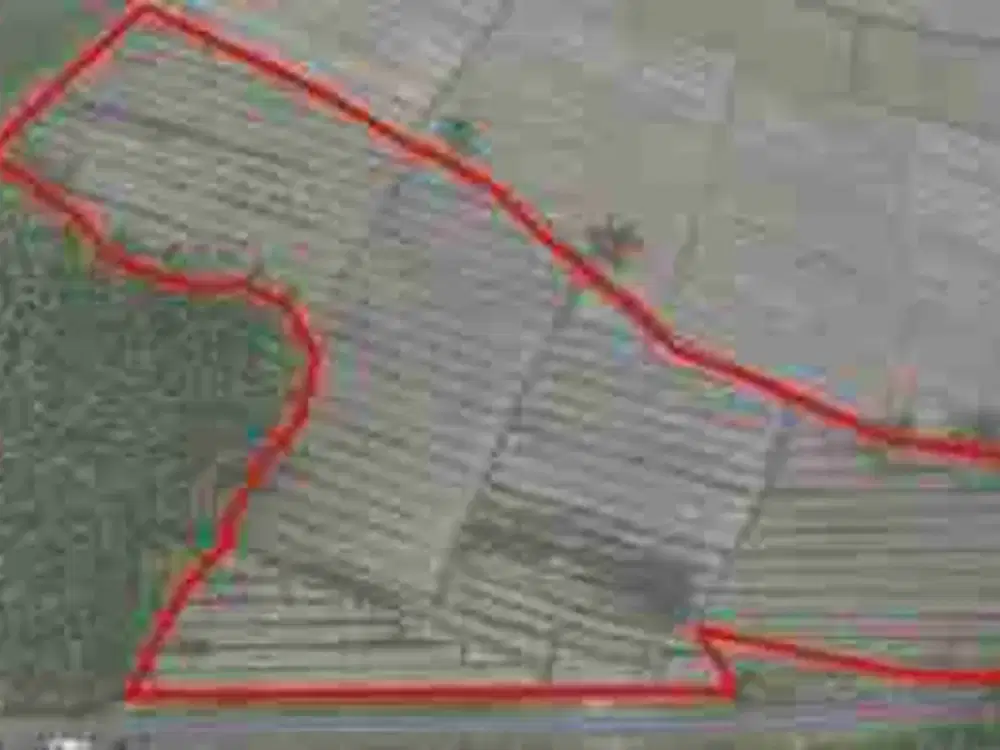 Dijual murah via lelang tanah di padasan Bondowoso