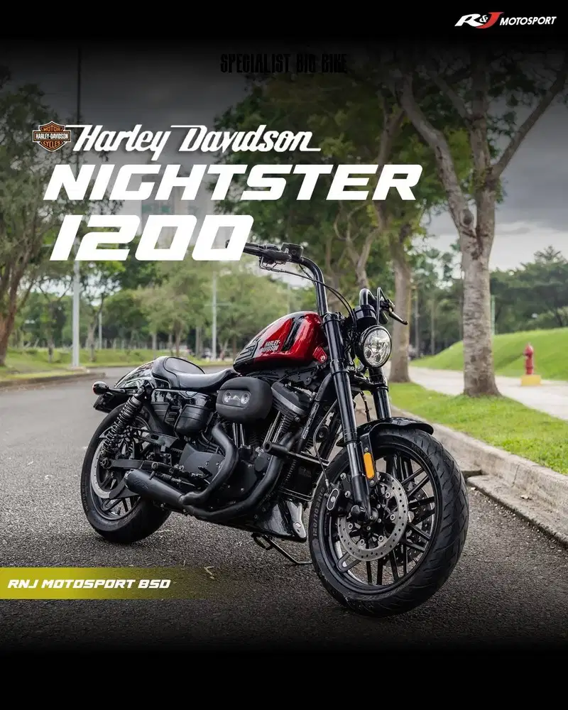 (Full Paper) Harley Davidson Nightster 1200 Nik 2017 TwoBrother