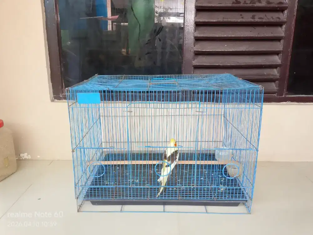 Falk fullset , Glodok & hp