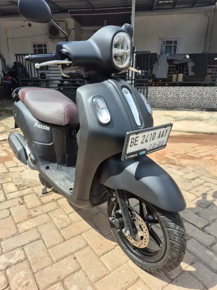 FAZZIO lux th 2023 kodya