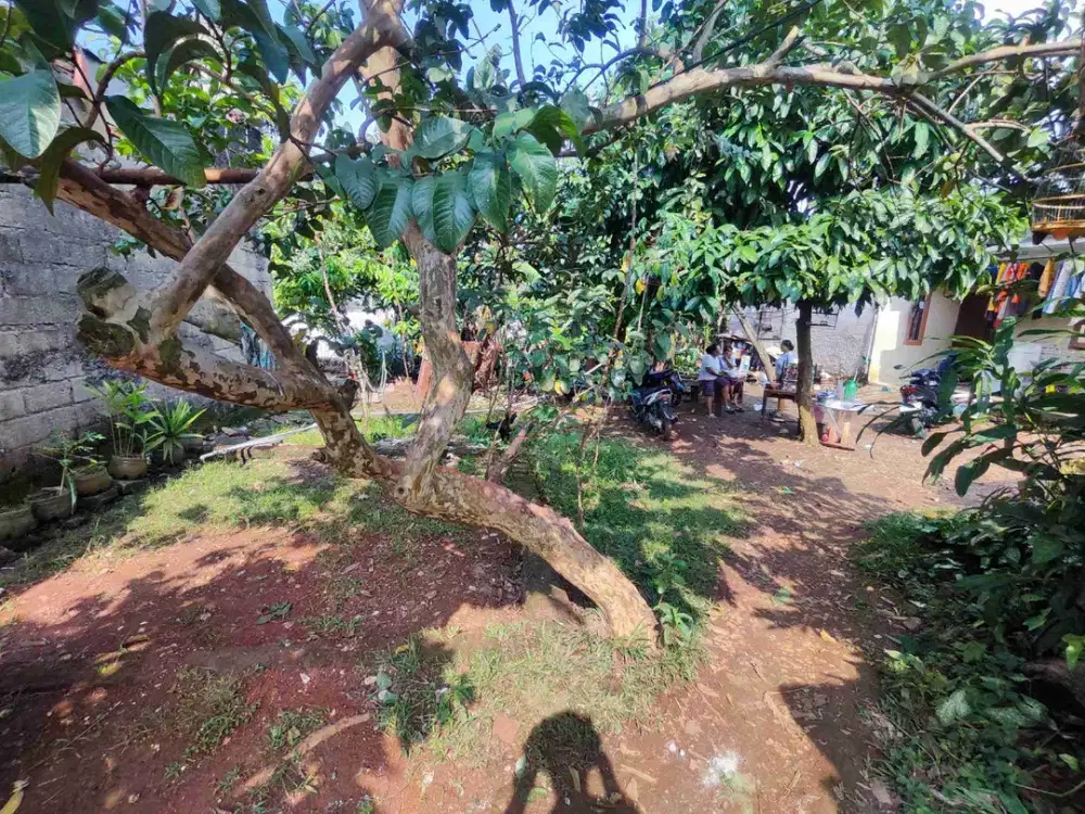 TERMURAH 200m 4 KONTRAKAN BINONG PERMAI DASANA INDAH KARAWACI SERPONG