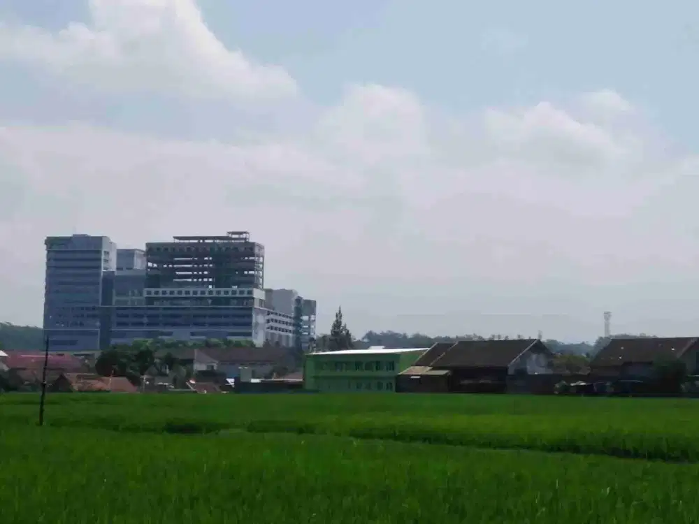 Dijual via lelang tanah di Jember kidul Jawa Timur