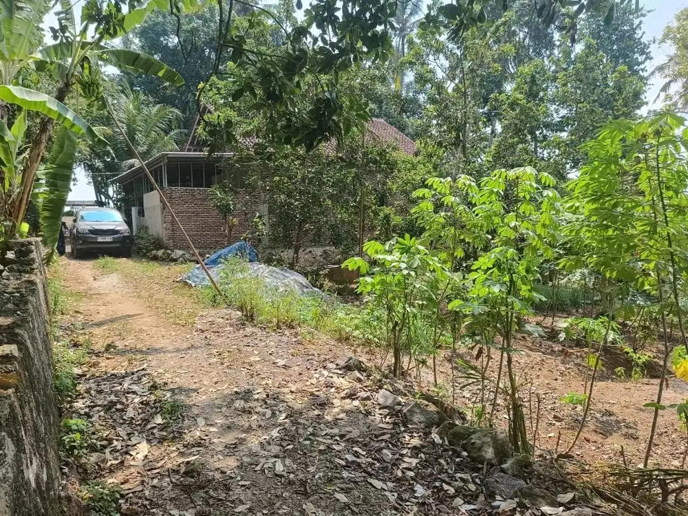 TANAH DEKAT PRAMUKA RAJABASA DI GUNTER DIJUAL MURAH