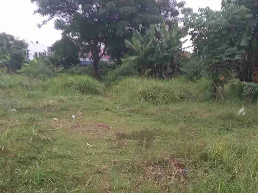 Dijual tanah cantik 4300 meter bisa termin 2 tahun