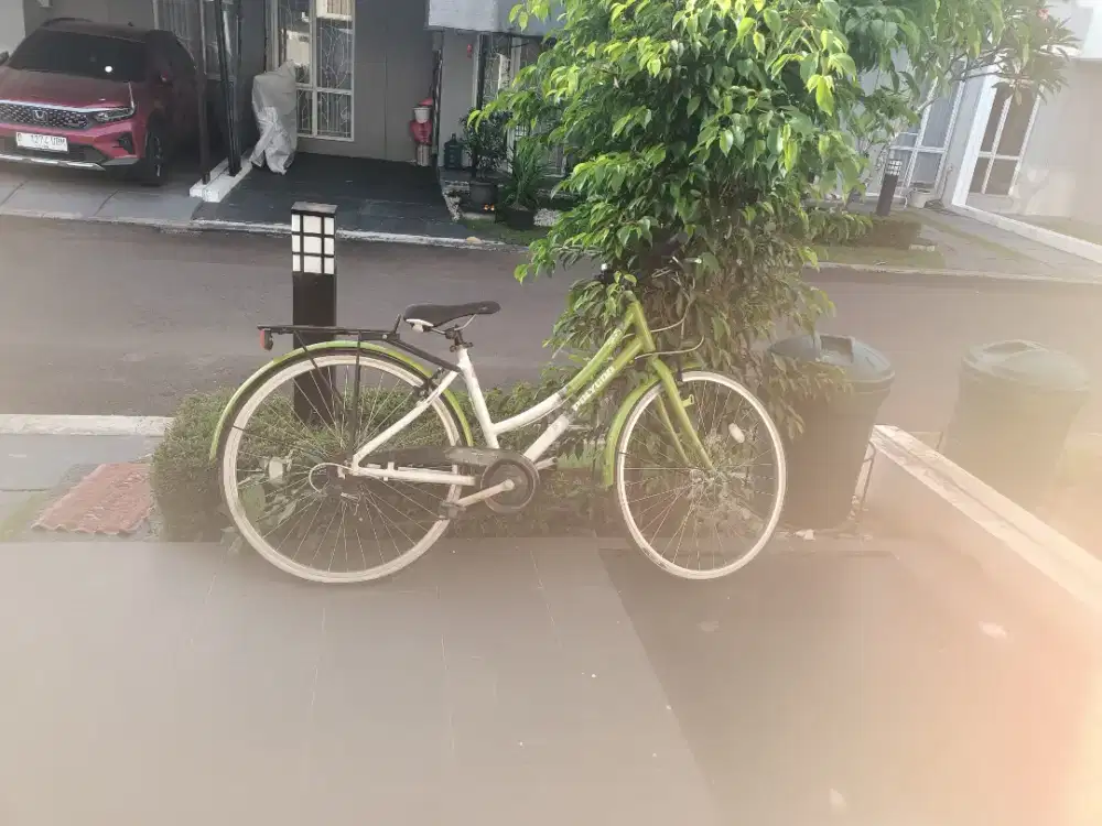 Sepeda Polygon  dewasa