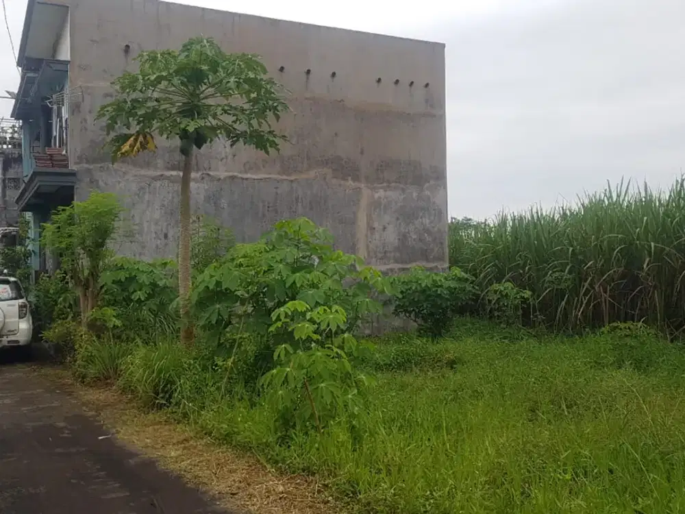 Tanah Murah Arjowinangun Malang Kota SHM Jual Cepat B.u 100 m Jl. Raya