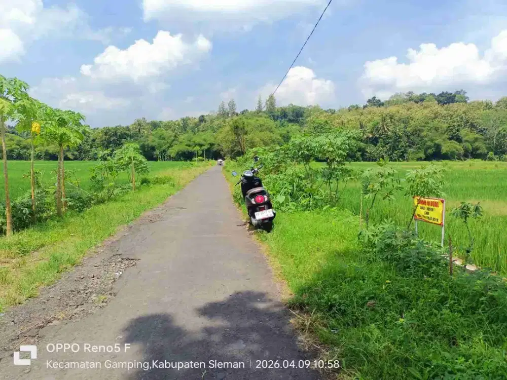 TANAH SAWAH MURAH DEKAT KAMPUS UMY AMBARKETAWANG GAMPING SLEMAN YOGYA