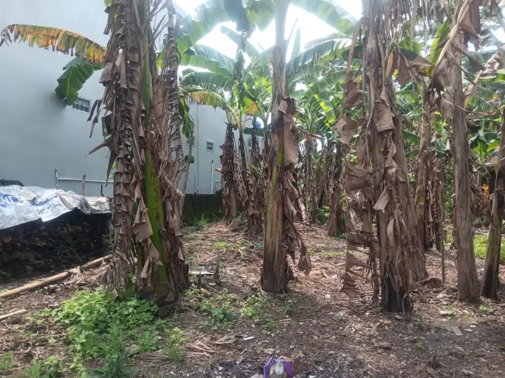 200 Meter dari Jl. Besi Jangkang! Lahan Profit Harga Nego