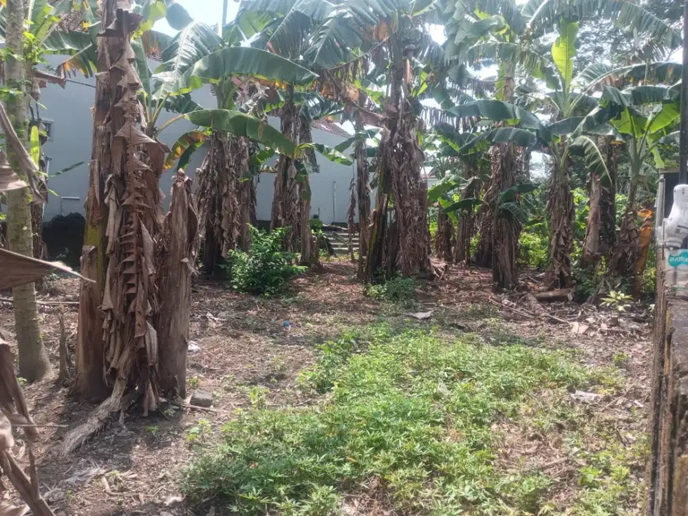 Dekat Kampus UII ! Lahan Ini Siap Langsung Balik Nama