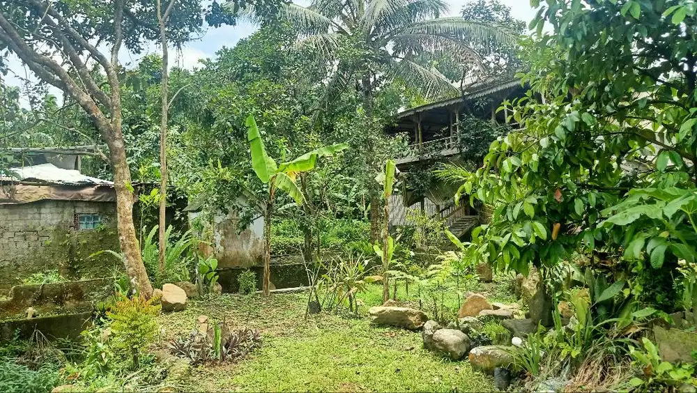 Tanah Luas Dijual CEPAT — BU! Lokasi Strategis di Taman Sari, Bogor