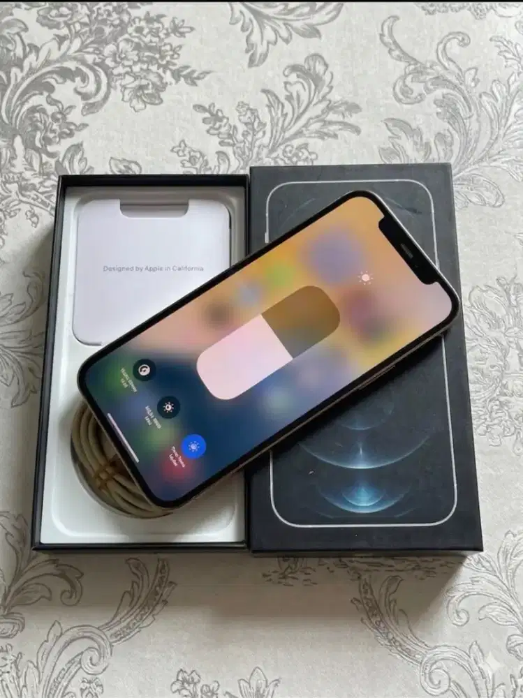 Ip 12 pro max mulus beacukai