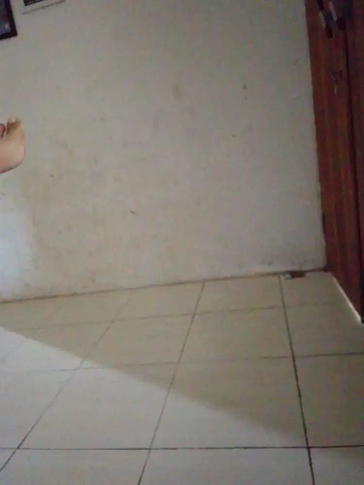 Asisten rumah tangga