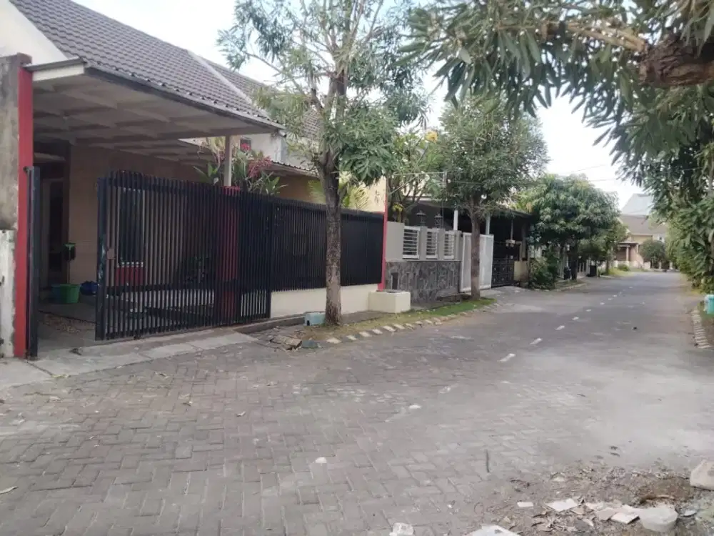 Dijual Rumah Murah Siap Huni Lokasi Perum. Grand Surya Buduran Sidoarjo