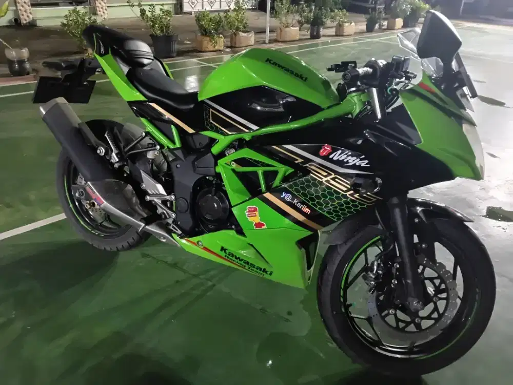 Kawasaki ninja 250 sl KRT