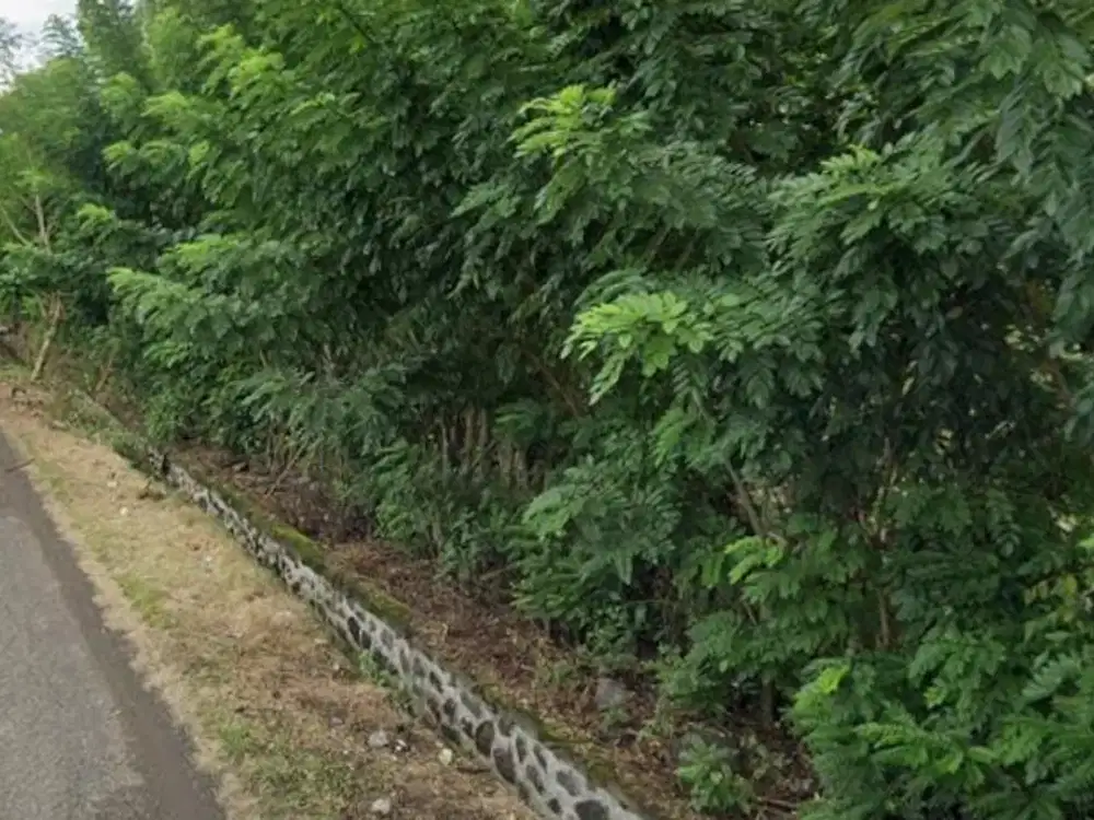 DIJUAL TANAH STRATEGIS – PENGAMBENGAN JEMBRANA, BALI