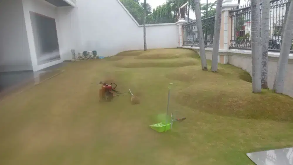 Jasa tebang pohon dan potong rumput