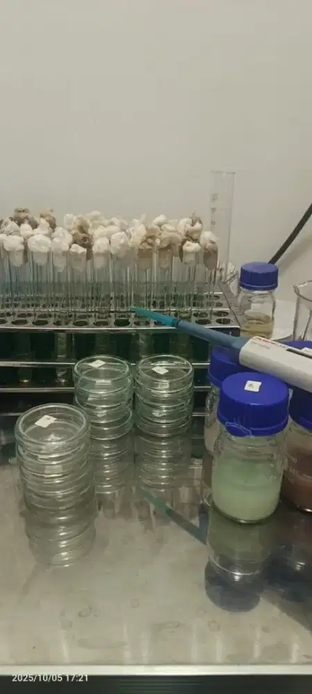 LAB ES LILIN / ES KRIM