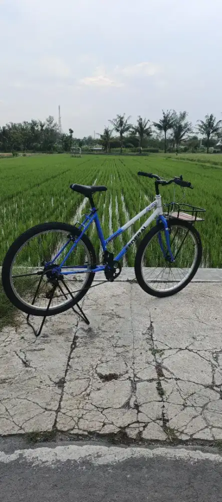 SEPEDA COMUTTERBIKE FEDERAL LADY