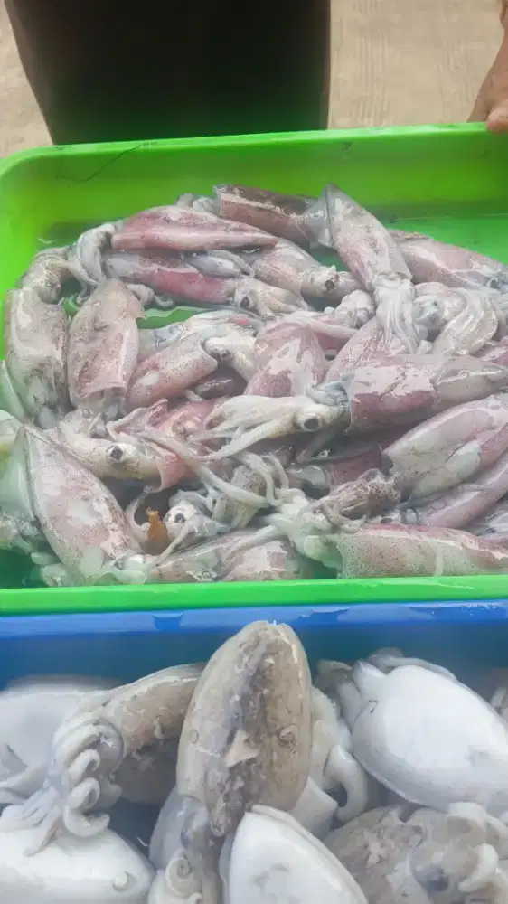 Cari pekerjaan paruh wktu