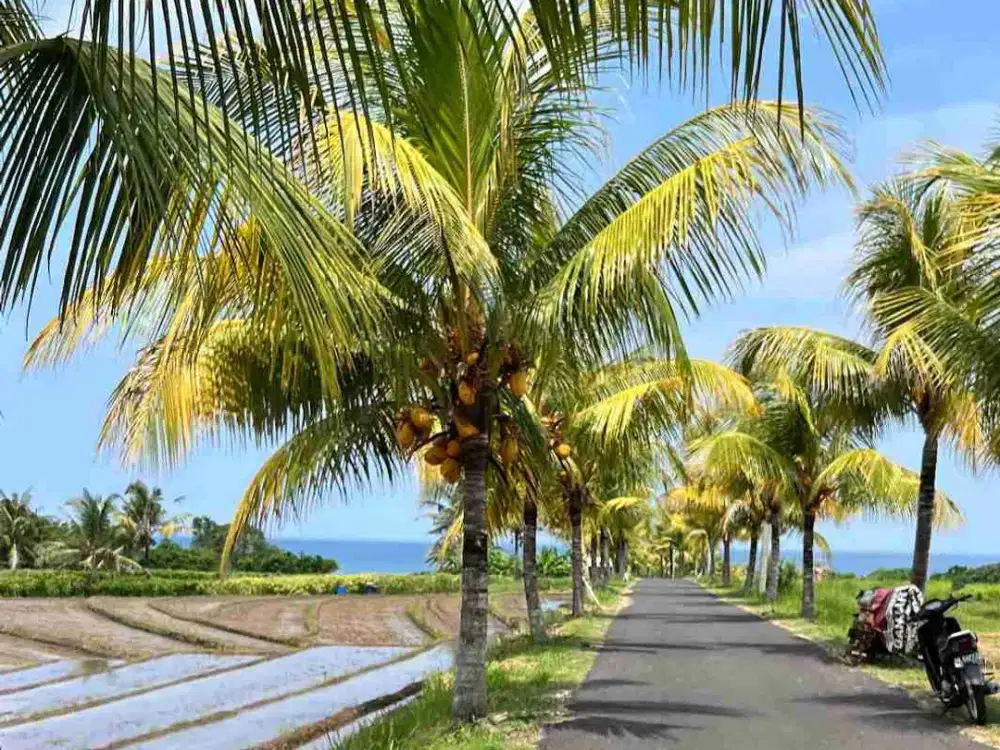 Pink Zone Land 400 meters from Kelecung Beach Bali