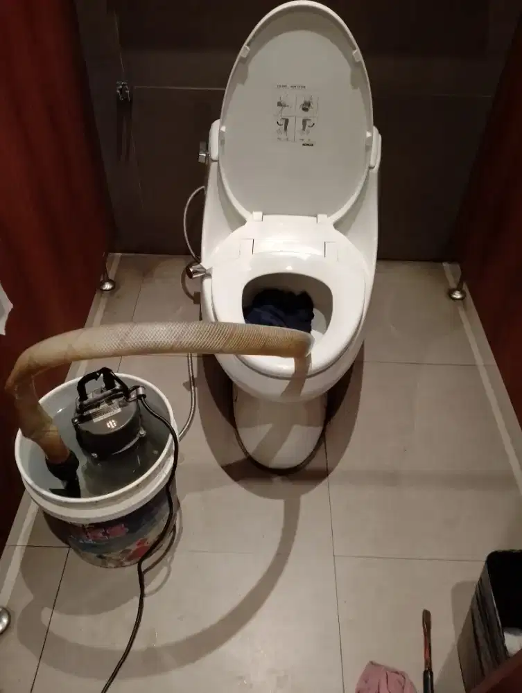 Pendoronggan kloset mampet