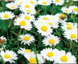 Lowongan Kerja Office Boy