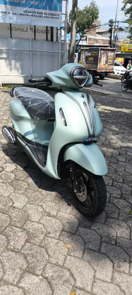 Grand filano warna grenish grey