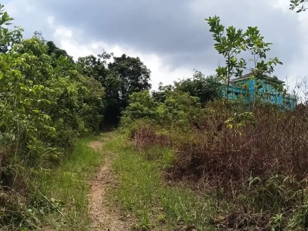 DIJUAL TANAH DEKAT GRAND CITY – HM