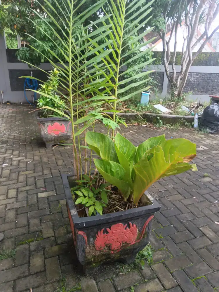 Pot Bunga Jumbo Ukir Bahan Cor 2 Pot
