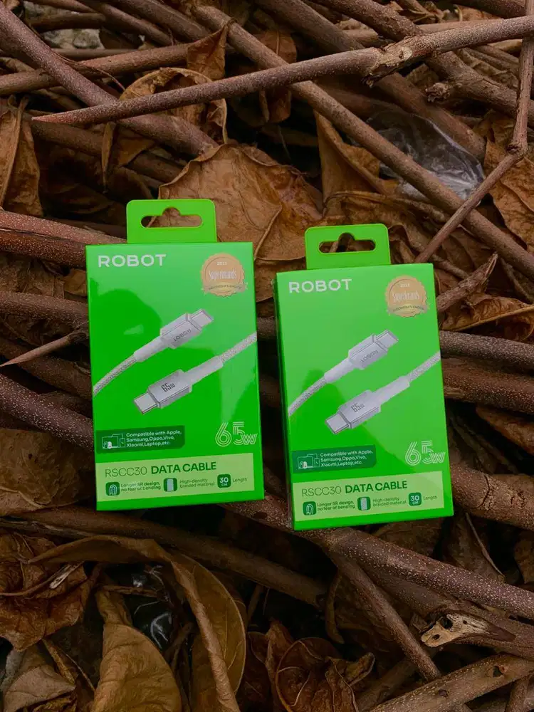 Robot Data Cable RSCC30 Type-C to Type-C 65W 30CM