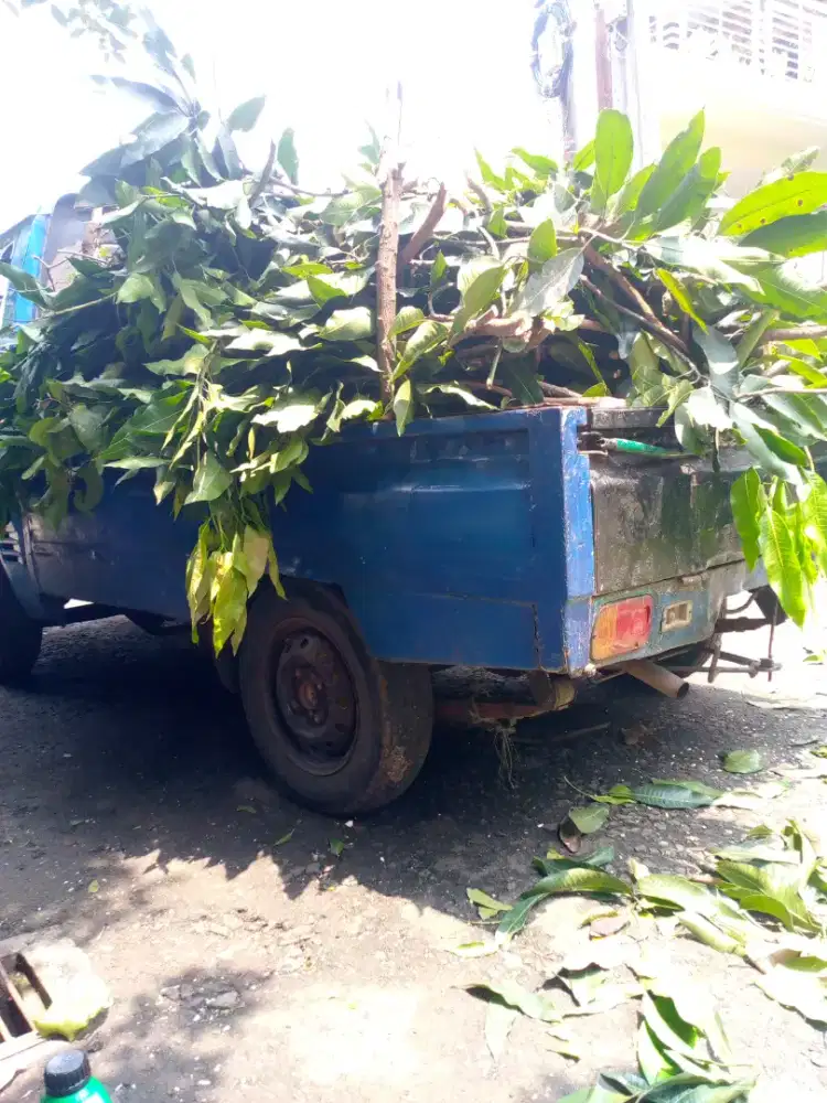 Jasa angkut puing tebang pohon dan lain lain