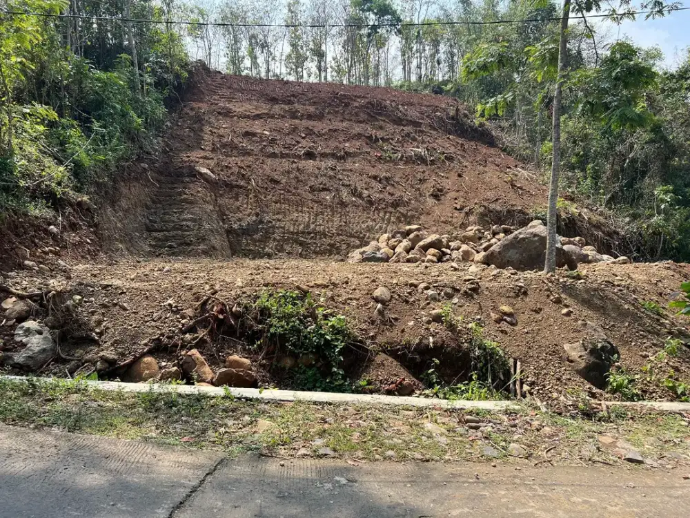 Tanah Investasi Hanya 125 Juta 1850m2 Sambirejo Sragen