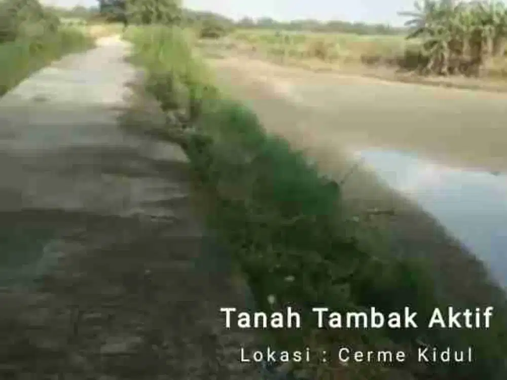 dijual tanah tambak harga murah lokasi bebas banjir
