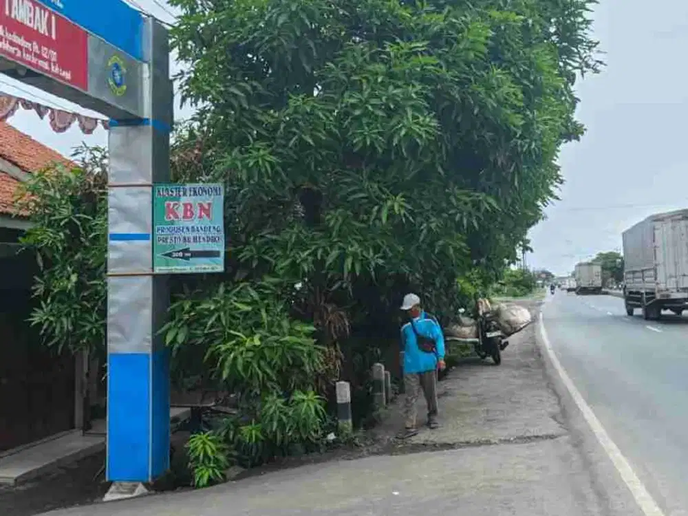 Dijual Tanah Darat Pinggir Jalan Pantura Tegal Jawa Tengah