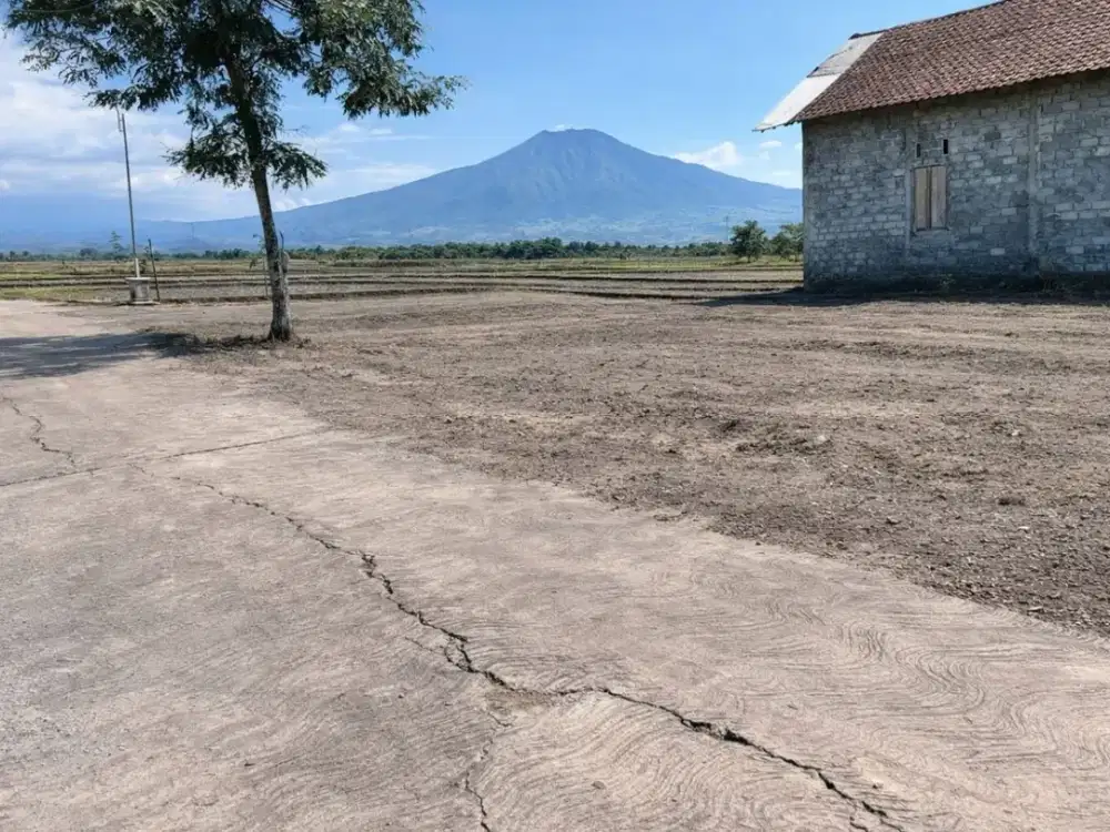 Tanah View Gunung Lawu 190m2 Kedawung Sragen