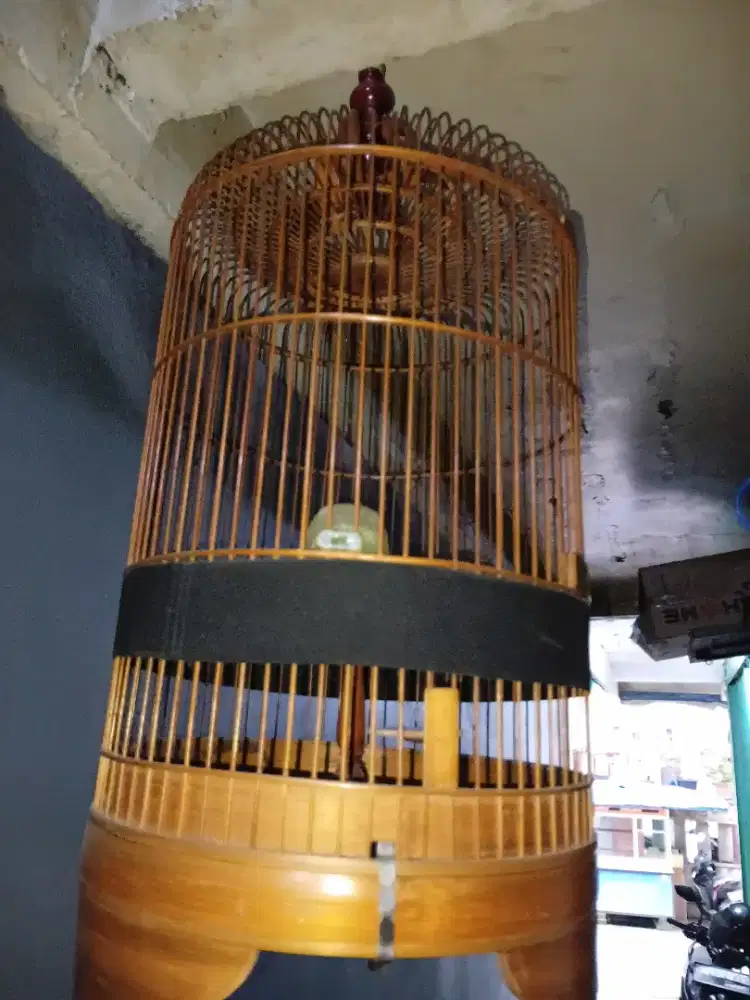 Kandang burung branjangan