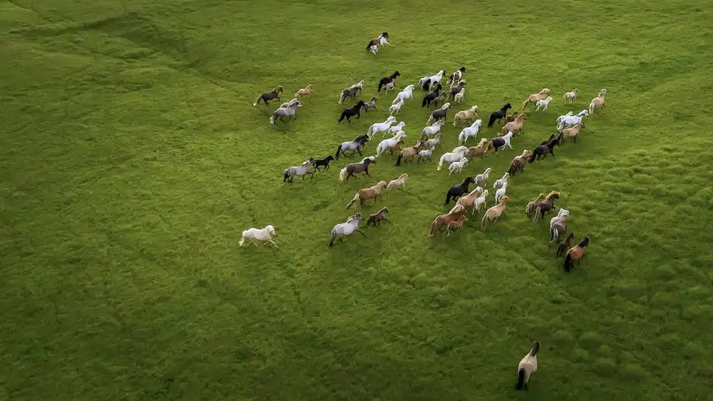 Dibutuhkan ART Momong Jakarta Barat