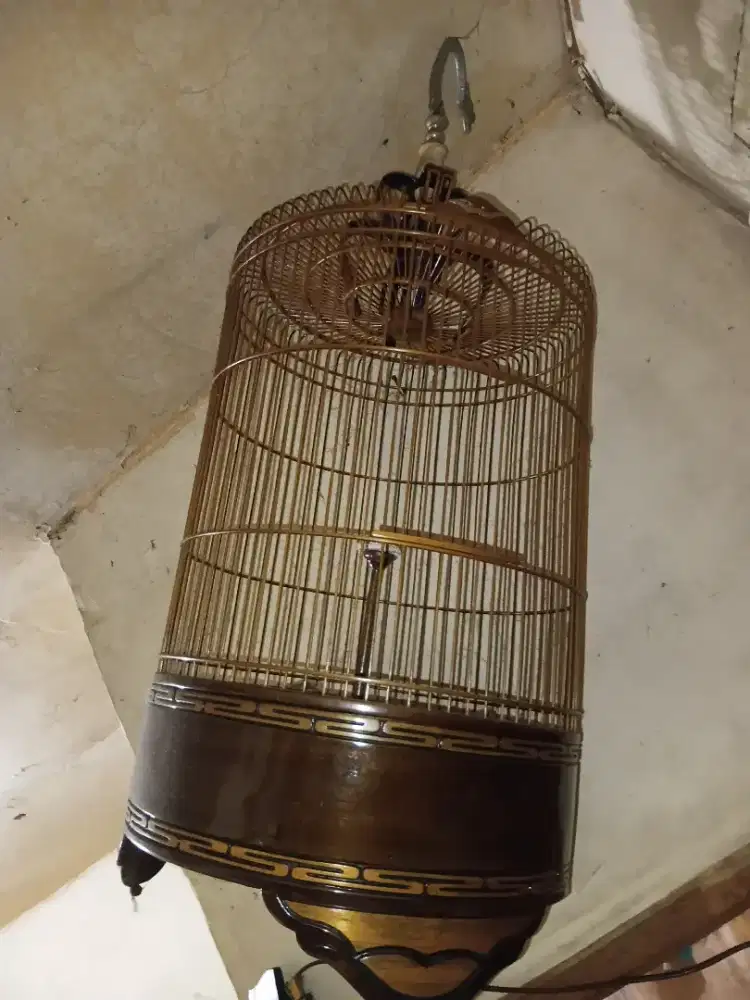 Kandang burung branjangan