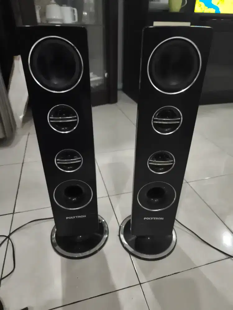 Spekeker polytron bekas tv