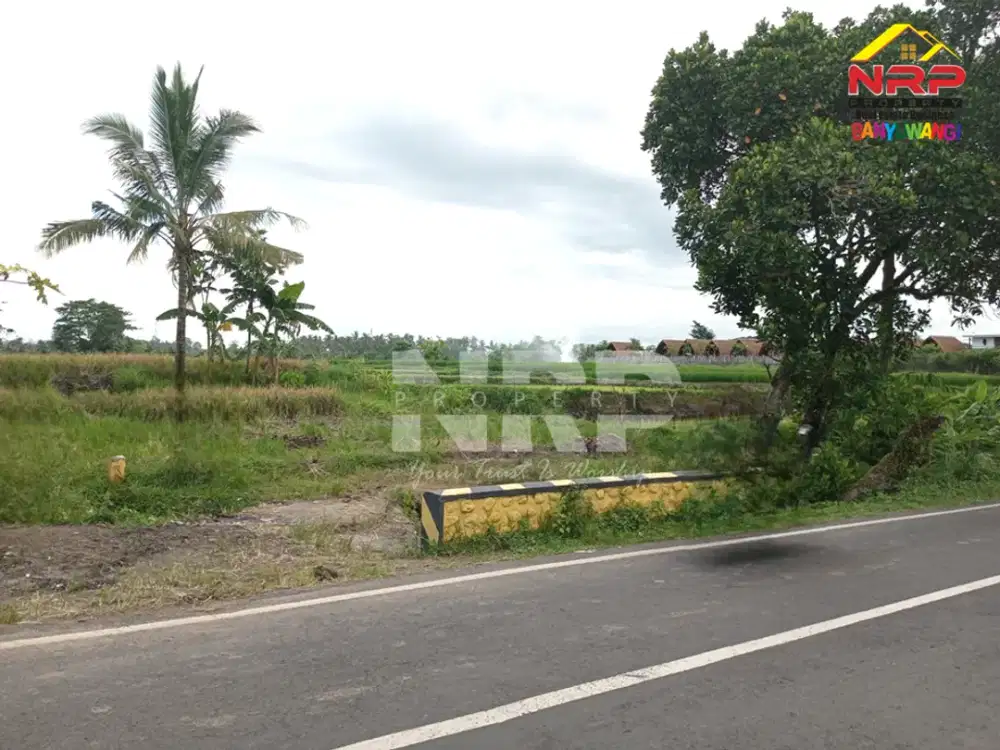 Dijual Tanah Sawah Strategis di Tepi Jl. Labanasem, Kabat -Banyuwangi