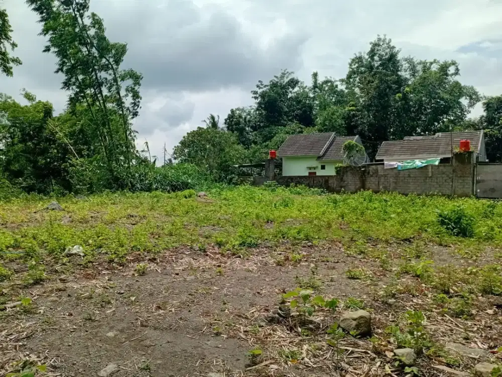 Jarang Ada Tanah Premium di Triharjo Sleman Harga 1,9 Jt/m2 SIAP BALIK NAMA