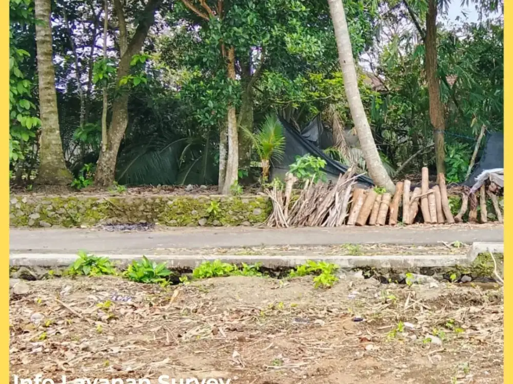 Tanah Jogja Murah Palagan Km14 Shm Pekarangan Cocok Hunian