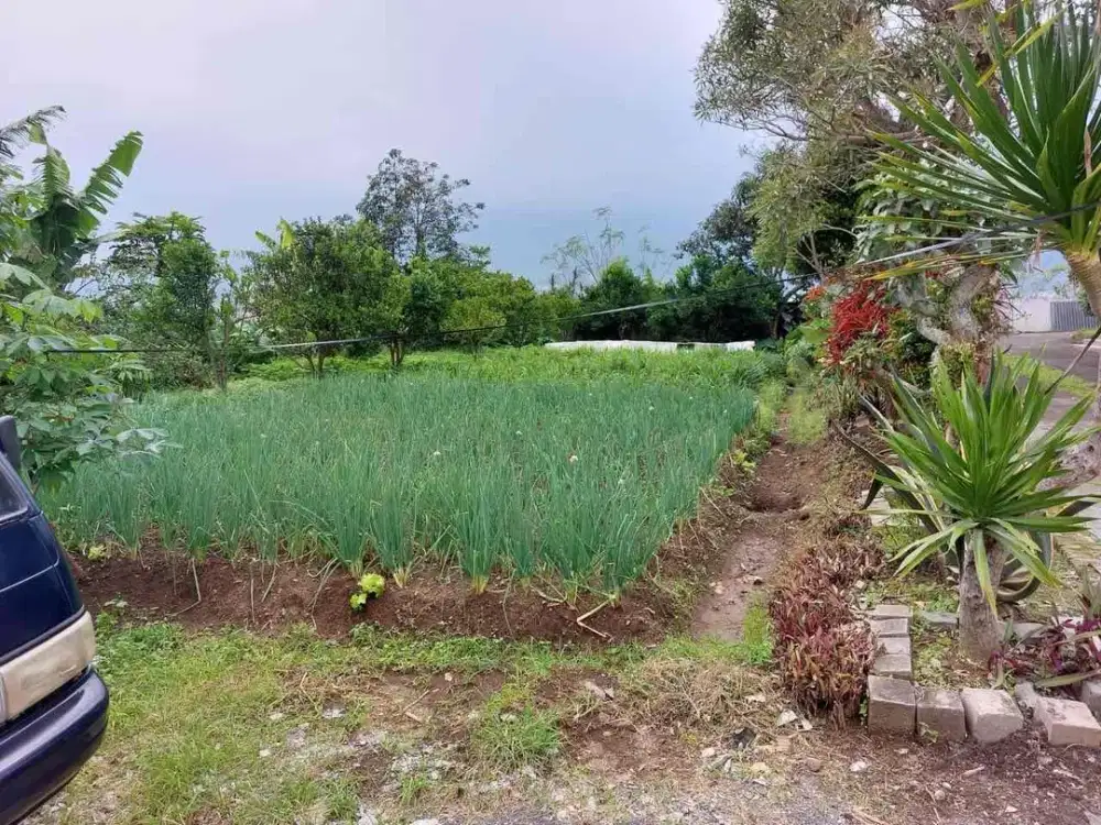 Dijual Tanah Batu Dekat Wisata BALOGA - Batu, Malang