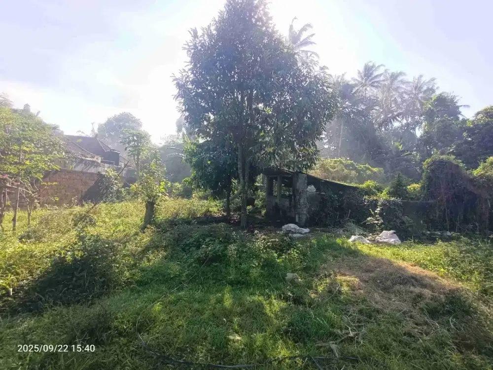 Red Zone Land For Leasehold in Petulu Ubud Bali