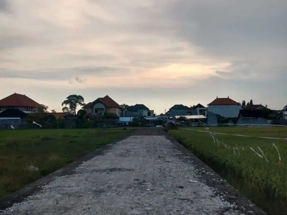 JUAL TANAH PREMIUM RENON