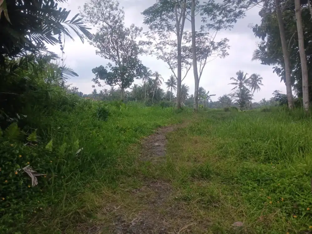 Investasi Emas Tanah Strategis Luas 415 m2 Mulai 2 jt-an aja!!