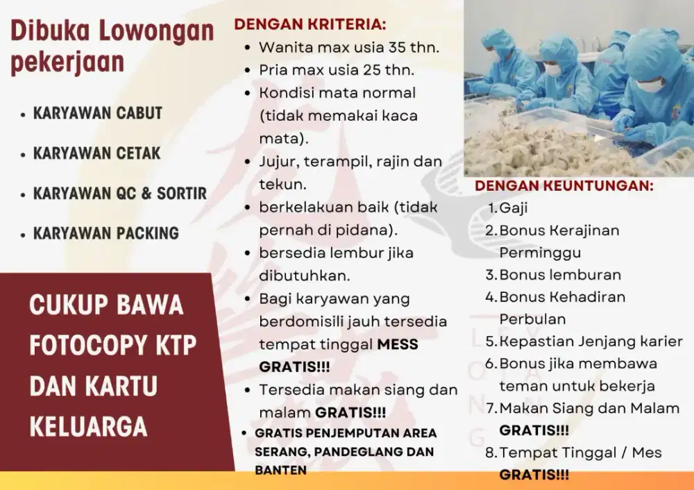 Dibuka lowongan Pekerjaan di Pabrik Walet